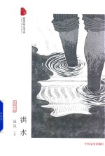 跨度长篇小说文库  洪水