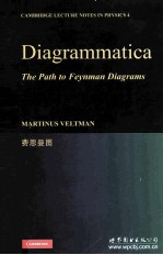 DIAGRAMMATICA:<em>THE</em> PATH <em>TO</em> FEYNMAN <em>RULE<em>S</em></em>