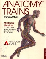 ANATOMY T<em>R</em>AINS  MYOFASCIAL ME<em>R</em>IDIANS FO<em>R</em> MANUAL AND MOVEMENT THE<em>R</em>APISTS
