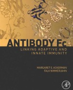 ANTIBODY FC：LINKING ADAPTIVE <em>AND</em> INNATE IMMUNITY