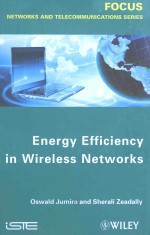 ENERGYEFFICIENCY IN WIRELESS <em>NETWORKS</em>