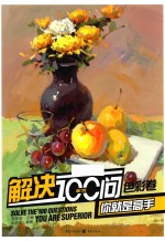解决100问你就是高手  <em>色彩</em>卷