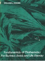 Fundamentals <em>of</em> Mathematics <em>for</em> Business，Social，and <em>Life</em> Sciences