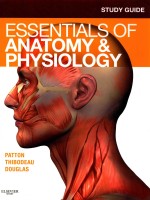 <em>STUDY</em> <em>GUIDE</em> FOR ESSENTIALS OF ANATOMY & FIRST EDITION