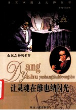 让灵魂在维也纳闪光  命运之神贝多芬