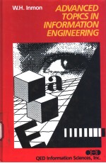 <em>ADVANCED</em> TOPICS IN INFORMATION <em>ENGINEERING</em>