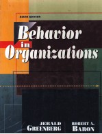 <em>BEHAVIOR</em> IN ORGANIZATIONS SIXTH <em>EDITION</em>