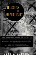 ILLUSIONS <em>OF</em> OPPORTUNITY:THE AMERICAN DREAM <em>IN</em> QUESTION