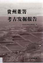 贵州董箐<em>考古</em>发掘报告