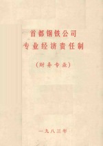 首都钢铁公司专业经济责任制  财务专业
