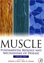 MUSCLE  FUNDAMENTAL BIOLOGY AND MECHANISMS OF DISEASE  VOLUME 2