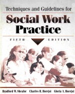 TECHNIQUES <em>A</em>ND GUIDELINES FOR SOCI<em>A</em>L WORK PR<em>A</em>CTICE FIFTH EDITION