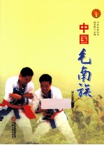 中华民族全书  中国毛南族