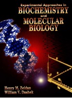 <em>EXPERIMENTAL</em> APPROACHES <em>IN</em> BIOCHEMISTRY <em>AND</em> MOLECULAR <em>BIOLOGY</em>