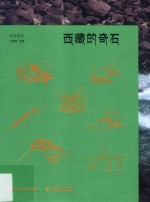 视觉特写  西<em>藏</em>的奇石