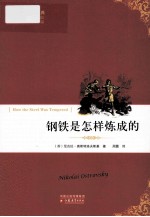 世界文学百年经典  钢铁是怎样炼成的