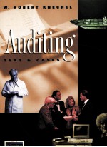 AU<em>D</em>ITING TEXT & CASES