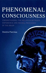 PHENOMENAL CONSCIOUSNESS  UNDERSTANDING <em>THE</em> RELATION BETWEEN EXPERIENCE AND <em>NEURAL</em> PROCESSES IN <em>THE</em> 