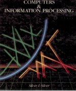 COMPUTERS & INFORMATION <em>PROCESSING</em>