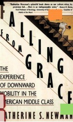 FALLING FROM GRACE:THE EXPERIENCE OF DOWNWARD MOBILITY IN THE AMERICAN MIDDLE CLA<em>S</em><em>S</em>