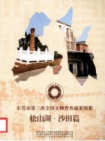 <em><em>东莞</em>市</em>第三次全国文物普查成果图册  松山湖·沙田篇