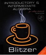 INTRODUCTORY <em>A</em>ND INTERMEDI<em>A</em>TE <em>A</em>LGEBR<em>A</em> <em>FOR</em> COLLEGE <em>STUDENTS</em> SECOND EDITION