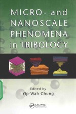 MICRO-AND NANOSCALE PHENOMENA <em>IN</em> TRIBOLOGY