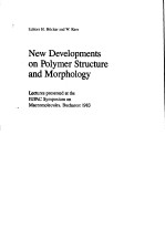 New Developments on Polymer <em>Structure</em> and Morphology