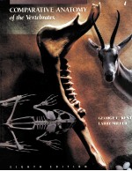 COMPARATIVE ANATOMY <em>OF</em> THE VERTEBRATES EIGHTH <em>EDITION</em>