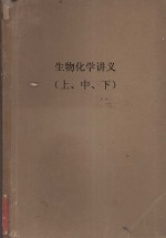 生物化学讲义  上、中、下