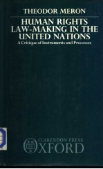 Human Rights Law-Making in the United Nations A Critique <em>of</em> <em>Instruments</em> and Process