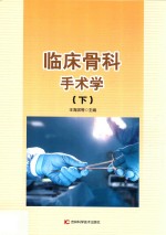 临床骨科手术学  下  第2版