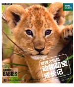 BBC自然探索  奇趣大自然  动物萌宝成长记