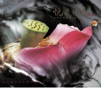 悦景悦情  东莞荷花<em>名</em>镇 东莞·桥头