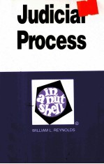 <em>JUDICIAL</em> PROCESS <em>IN</em> A NUTSHELL SECOND EDITION