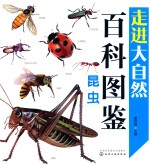 走进大自然百科图鉴  昆虫