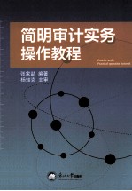 简明审计<em>实务</em><em>操作</em><em>教程</em>