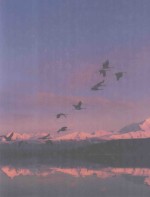 BIOLOGY CONCEPTS AND APPLICATION <em>FOURTH</em> <em>EDITION</em>