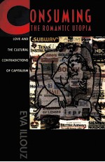 CONSUMING THE ROMANTIC UTOPIA:LOVE <em>AND</em> THE CULTURAL CONTRADICTIONS OF CAPITALISM