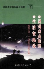 吴励生文集长篇小说卷  <em>下</em>  灵魂点击推理  生活在此处  解构立场  <em>一个</em>男权主义<em>的</em>文本