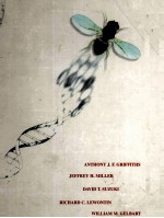 AN INTRODUCTION TO GENETIC <em>ANALYSIS</em> SEVENTH <em>EDITION</em>