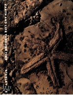 EARTH AND LIFE <em>THROUGH</em> TIME