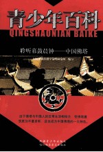 青少年百科  聆听暮鼓晨钟  中国佛塔