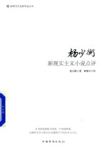 漳州当代名家作品丛书  杨<em>少衡</em>新现实主义小说点评