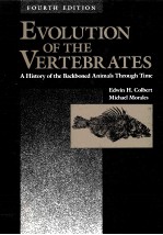 EVOLUTION OF <em>THE</em> VERTEBRATES <em>FOURTH</em> <em>EDITION</em>