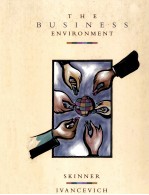 <em>THE</em> BU<em>S</em>INE<em>S</em><em>S</em> ENVIRONMENT