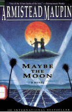 MAYBE <em>THE</em> MOON