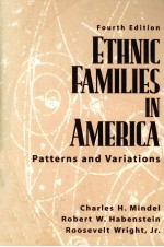 ETHNIC FAMILIES IN AMERICA:PATTERNS AND VARIATIONS <em>FOURTH</em> <em>EDITION</em>