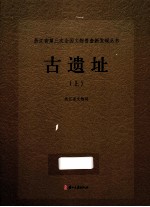 浙江省第三次全国<em>文物</em>普查新发现丛书  古遗址  上