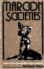 MAROON SOCIETIES:REBEL SLAVE <em>COMMUNITIES</em> <em>IN</em> <em>THE</em> AMERICAS
